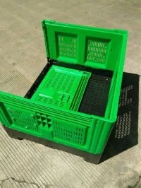 Plastikpalettenbox für Argo-Food-Sektoren