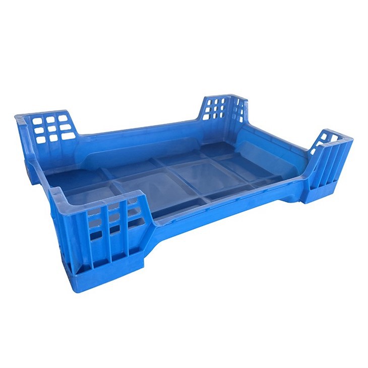 supplier Black Soldier Fly Larvae Box Manufacturer