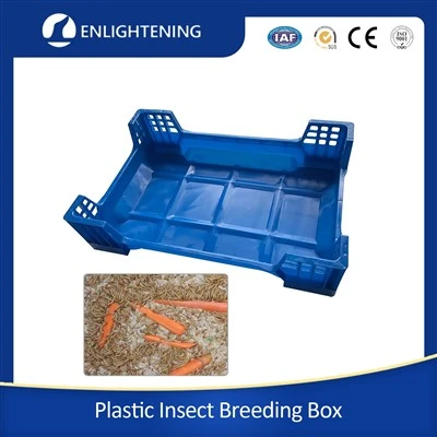 Fliegenbox