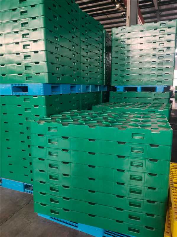 product-599-800 product-599-800